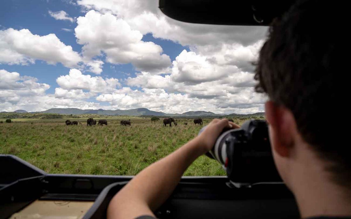 9 Days Uganda Gorillas, Chimps and Big 5 Wildlife Safari